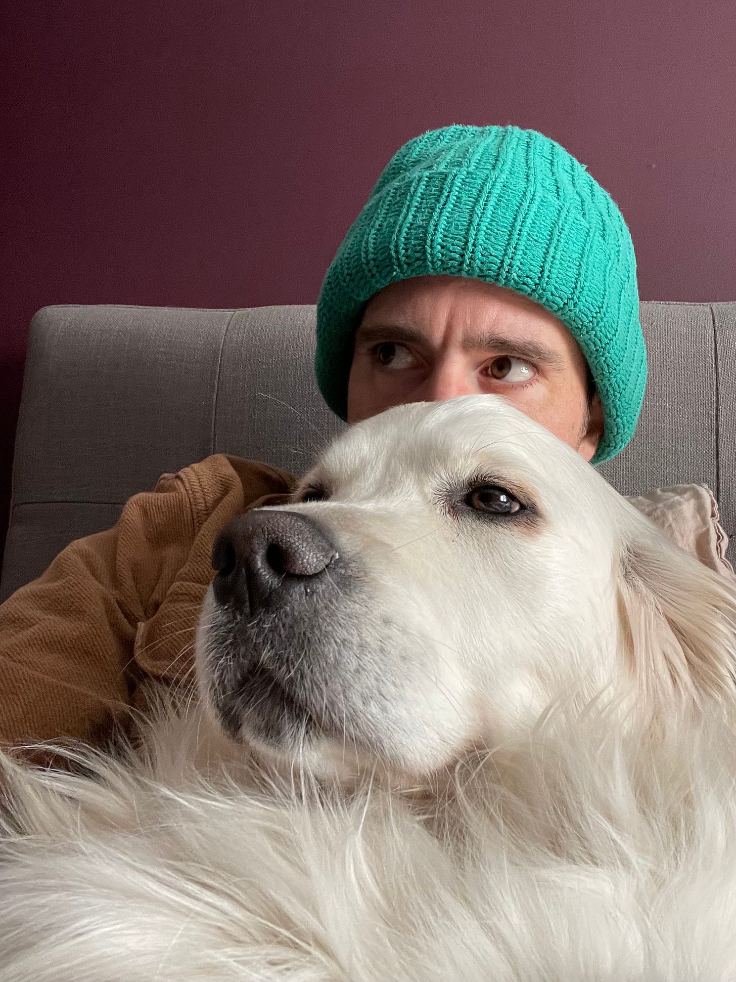 A man, David, and his dog make the same face in front of a purple wall. 