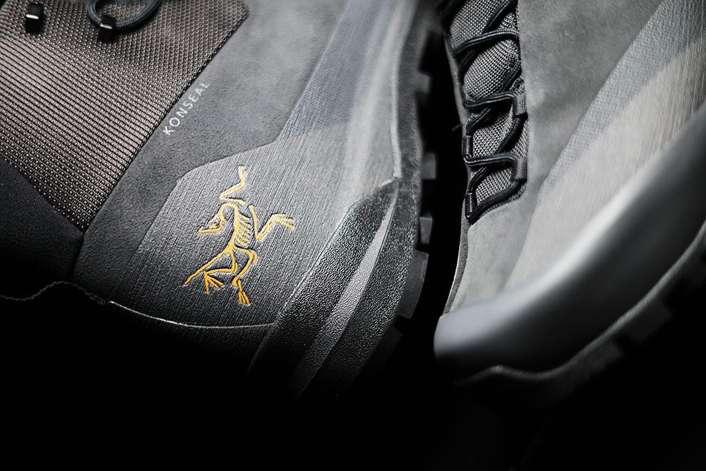 The Dead Bird Is Speaking Sneaker Now