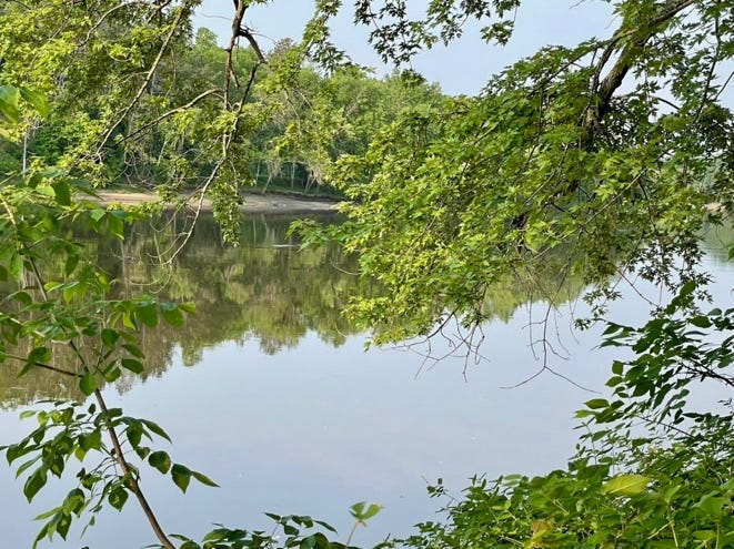 A lake with trees around it

AI-generated content may be incorrect.