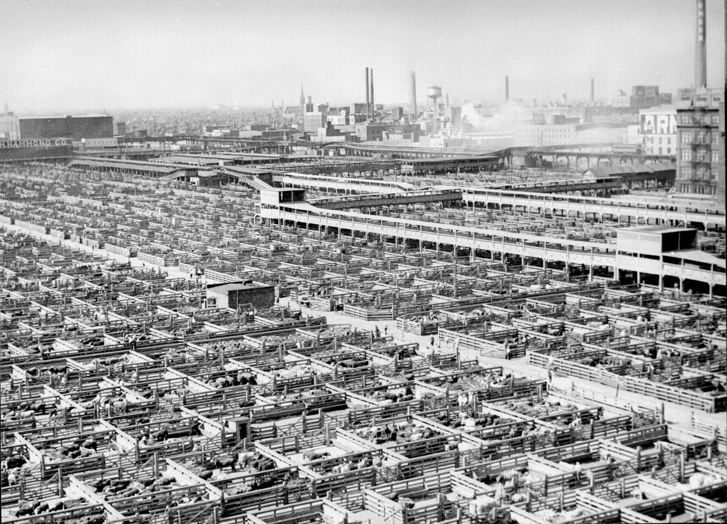 Union Stock Yards - Wikipedia