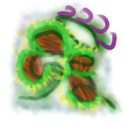 043_fortunatemimble_500x.png 043_fortunatemimble_500x.png