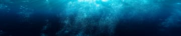 The Deep End