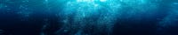 The Deep End
