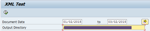 XML-Transformation-Program-Selection-Screen-se38