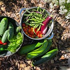 My 2024 Garden Goals