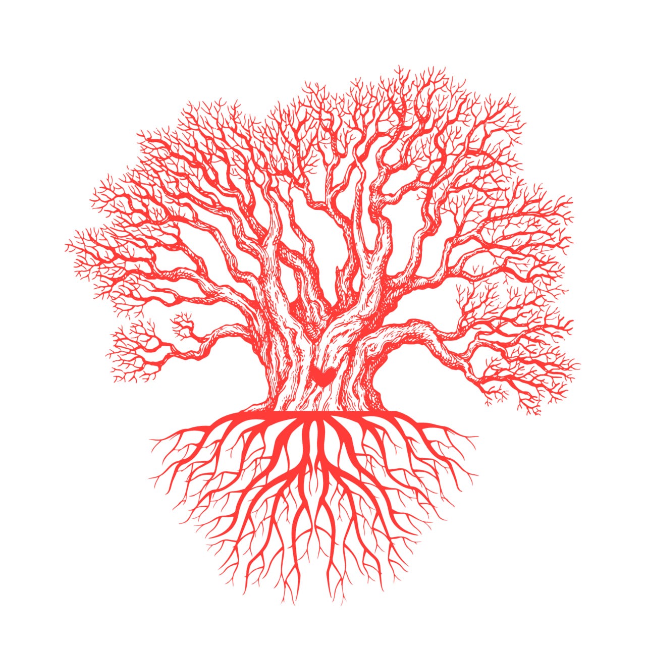 Invitation to the Sacred Grove