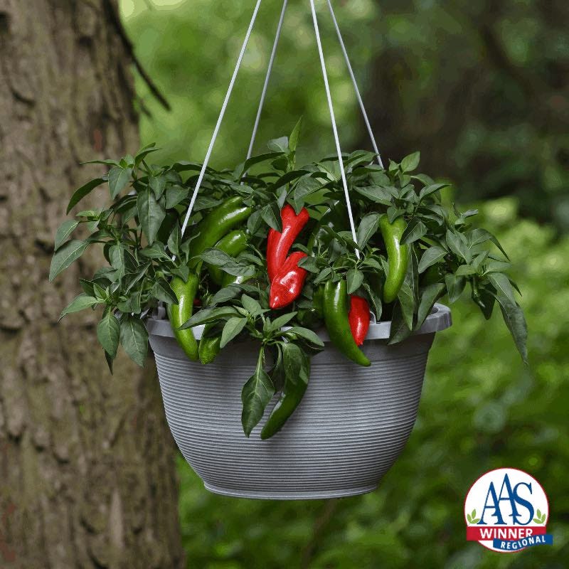 Pot A Peno Pepper