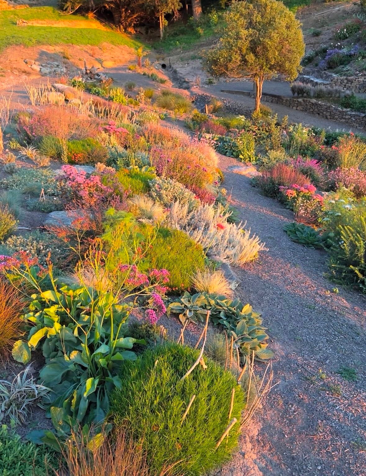 qotd, rumi, sahil bloom, jay shetty, on purpose, feel better, inspirational quotes, book recs, best books, goodreads, humor, iamthirtyaf, illustrations, mental wellness, power of positive thinking, universe, gratitude, friends, positivity, confidence, nice news, art, line drawings, linear theory, inspirational quotes, new yorker, poetry, universe, life advice, career, success, positive news, c magazine, ad magazine  Nature, wildlife photography, c magazine, California, flaunt magazine, fishermans bay garden, new zealand