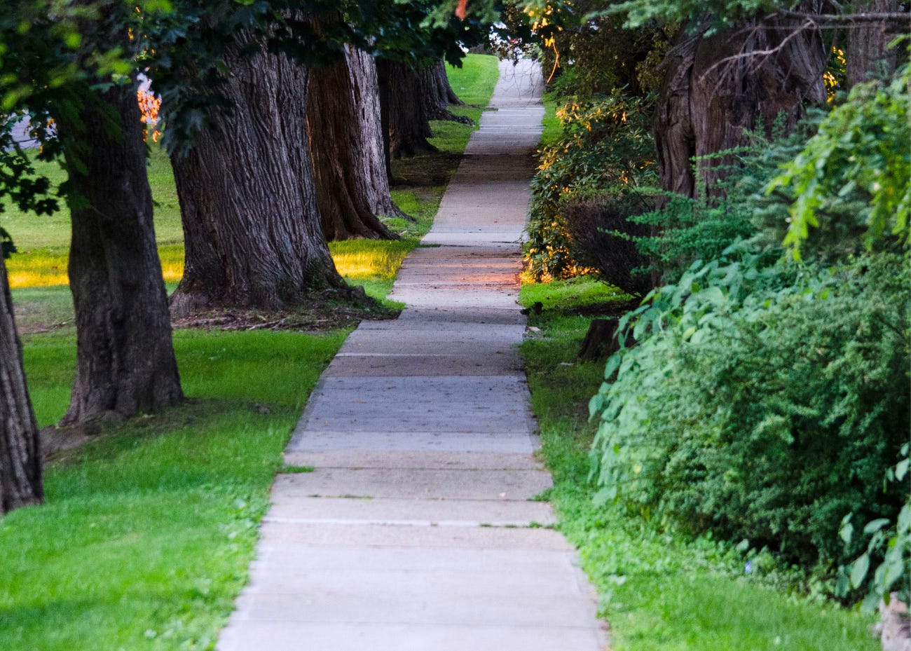 sidewalk through trees