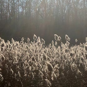 The Myth of “Regular” Exercise