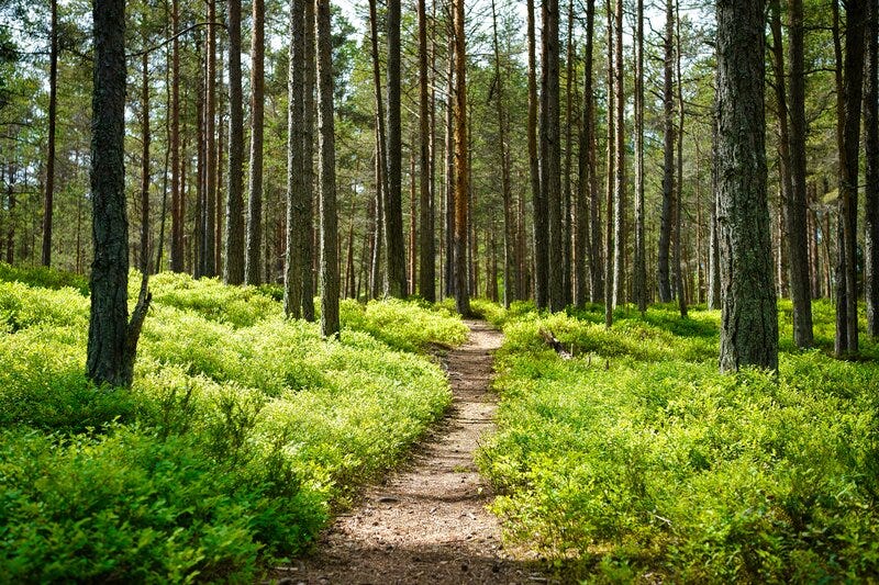 On Individuation