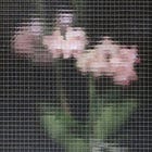 The Art of Structureless Structure