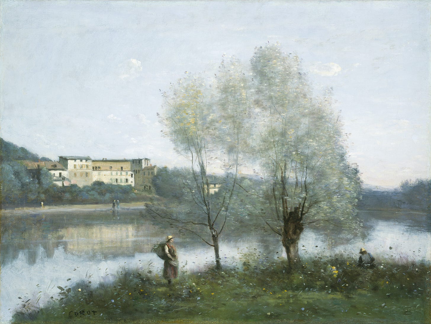 Feathery silver green trees lean over a still pond in soft misty light Feathery silver green trees lean over a still pond in soft misty light