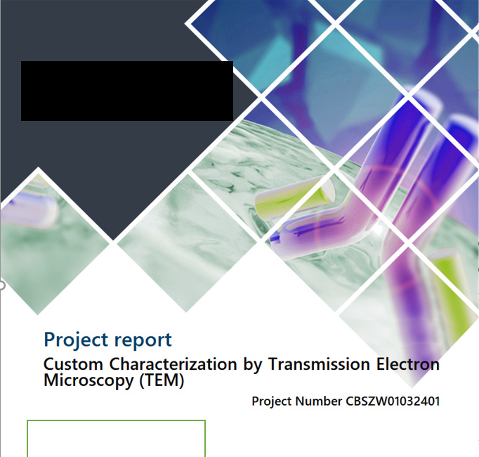 Transmission Electron Microscopy of Control Cultures 
