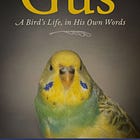 Gus: A Bird's Life, in His Own Words