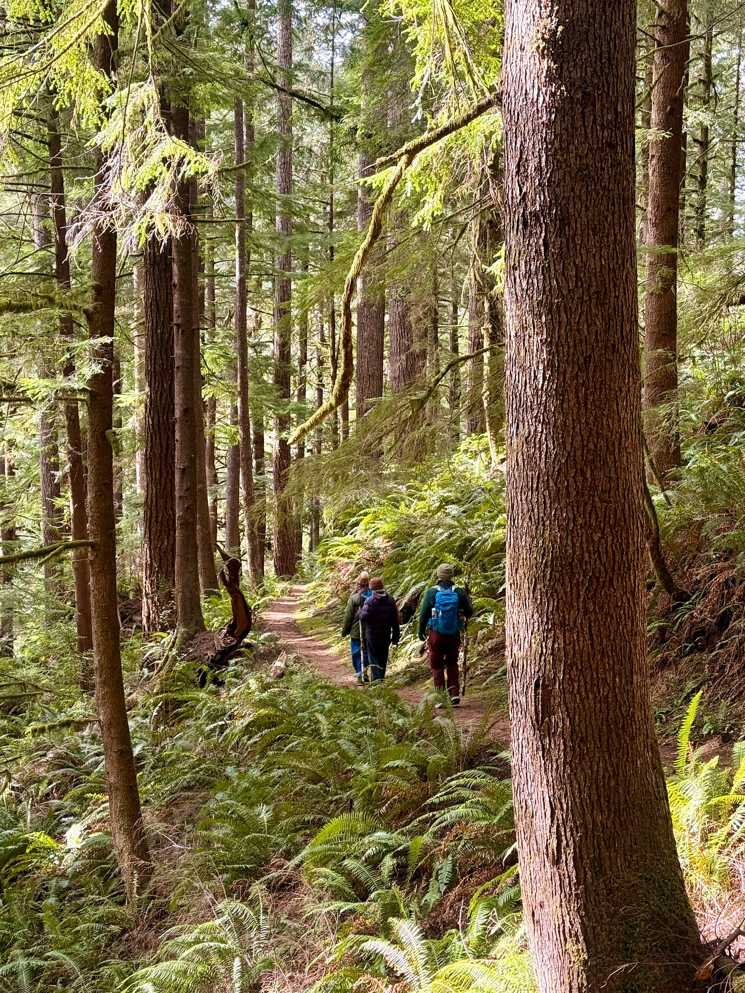 Hiking the Gwynn Creek Trail