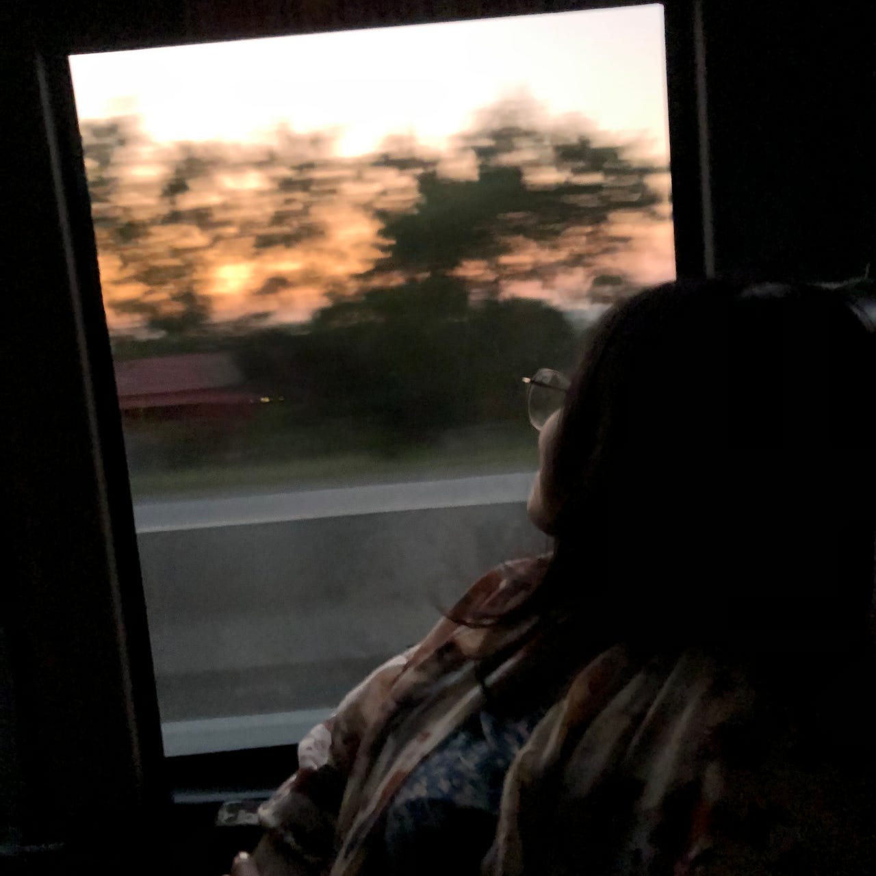 beings, books, and the human(e) condition