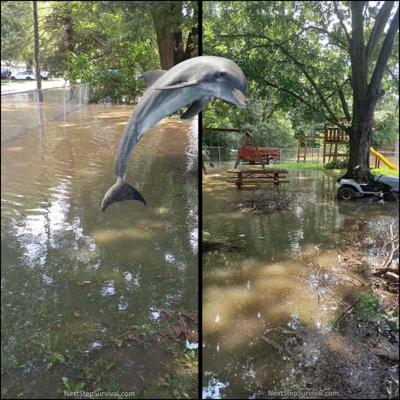 Flooded Backyard