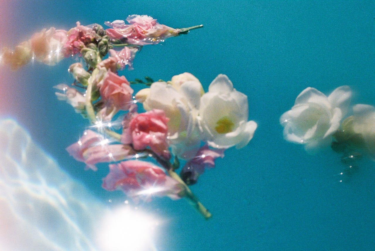 pink and white roses floating at the top of a swimming pool filled with aqua water