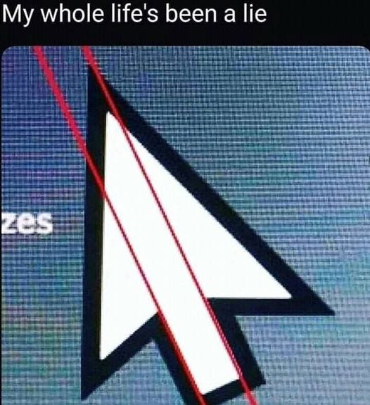 May be an image of text that says 'My whole life's been a lie zes'