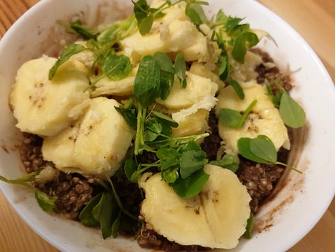 Creative Plantbased Cooking is Easy