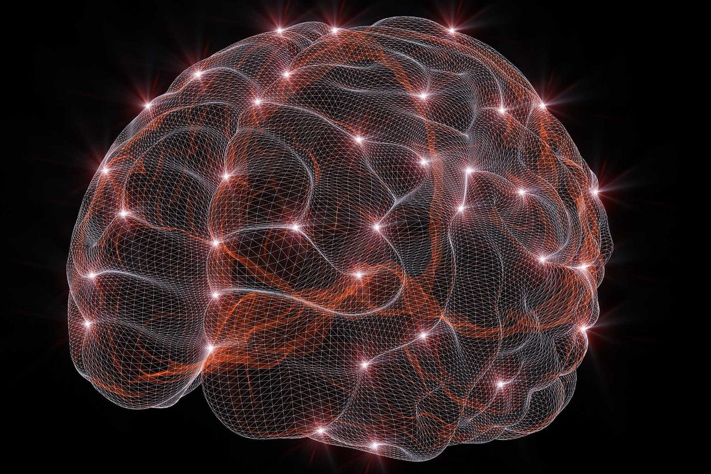 Neural Engineering