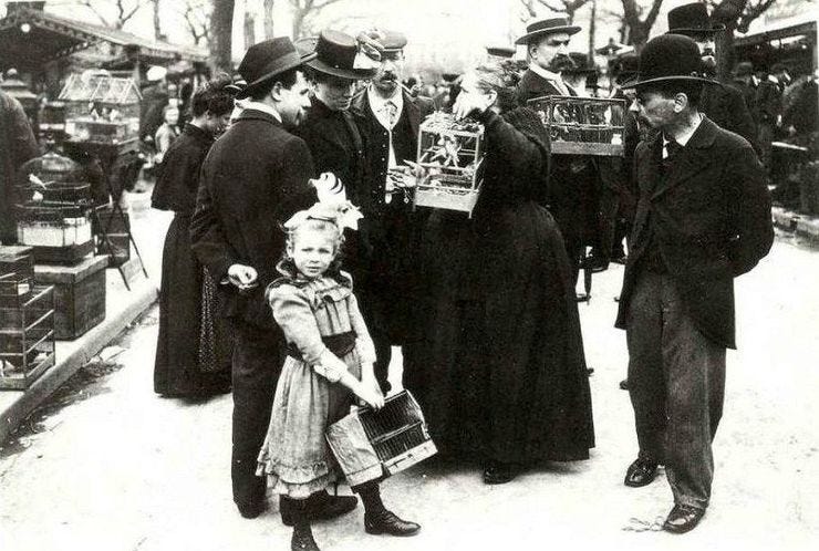Paul Géniaux 1910, Le Marché aux Oiseaux (the bird market.) Géniaux was contemporary with Eugène Atget. They both took photos on the streets. Paul Géniaux 1910, Le Marché aux Oiseaux (the bird market.) Géniaux was contemporary with Eugène Atget. They both took photos on the streets.