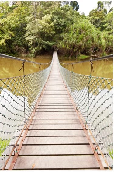 Rickety bridge across a swampy river Rickety bridge across a swampy river
