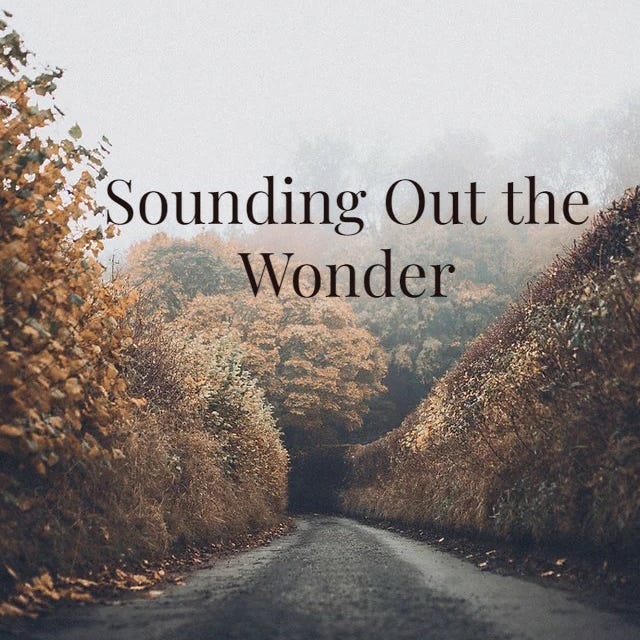 Artwork for Sounding Out The Wonder