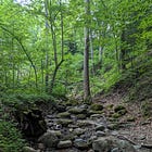 Turkey Run State Park