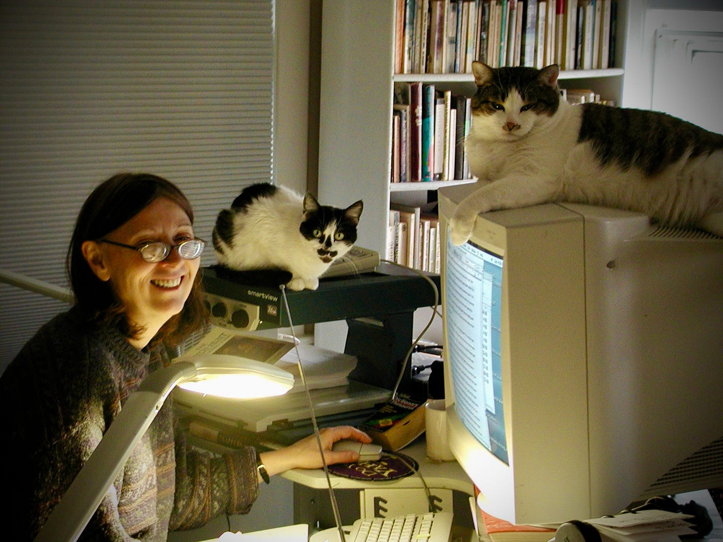 Diane and cats in her office; the cats are sitting on her adaptive equipment