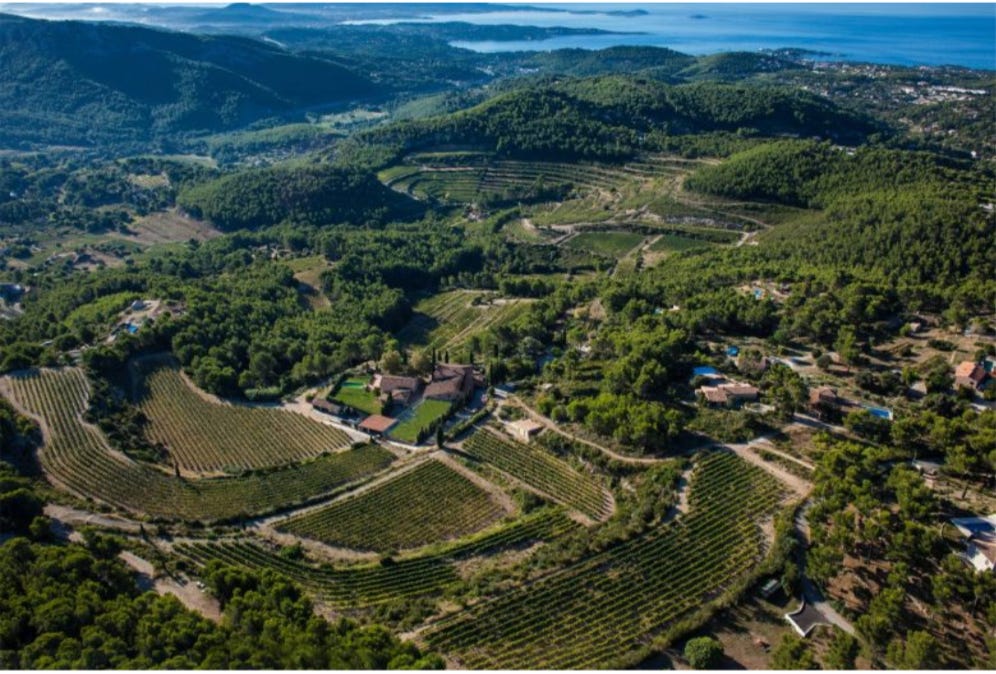 A Love Affair with Bandol