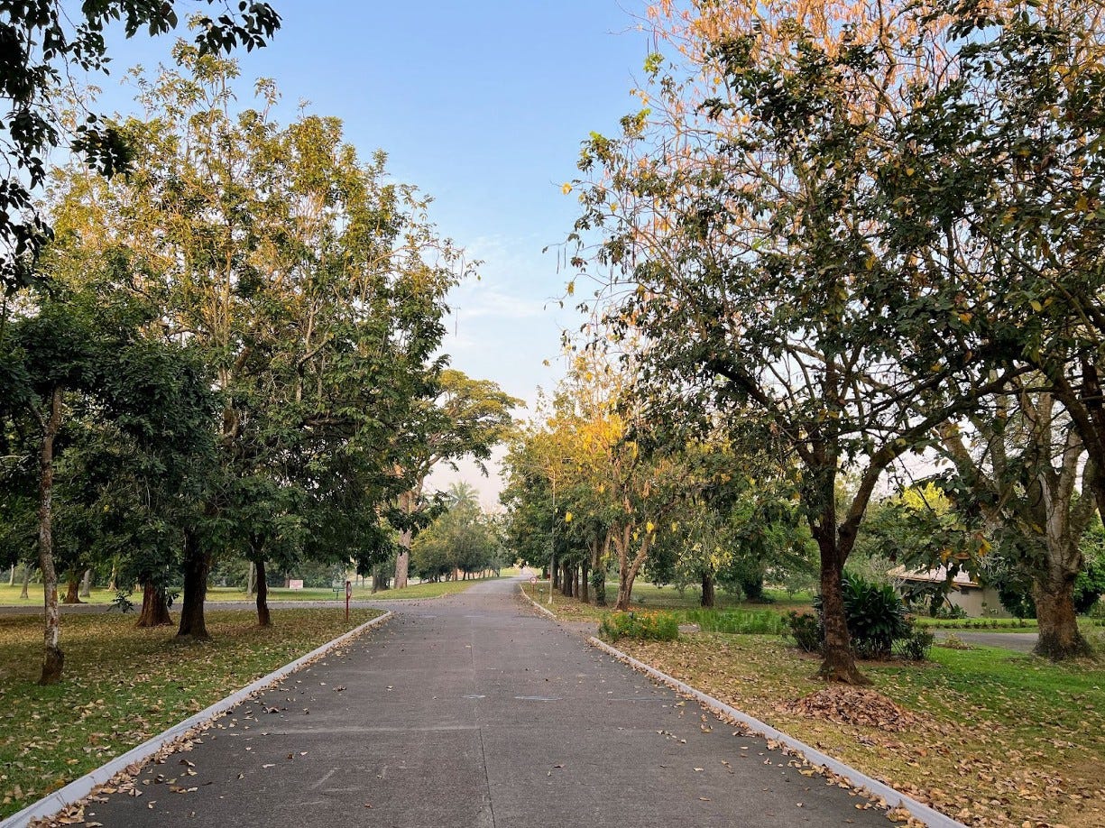 A road to growth and wealth