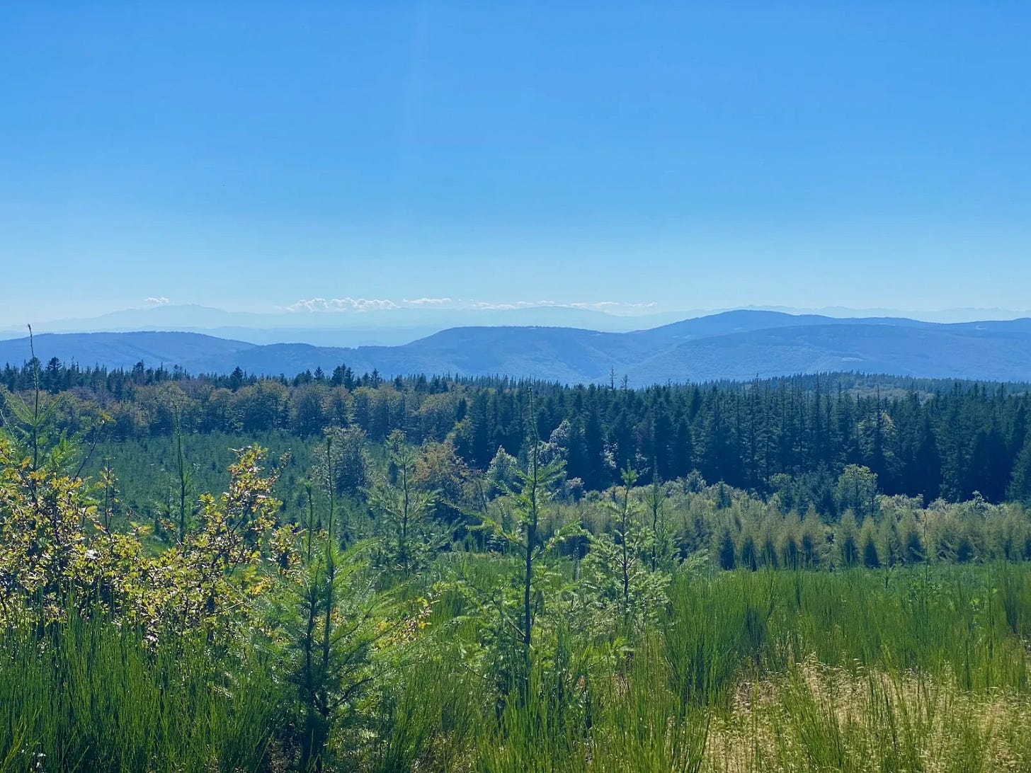 La Montagne Noire