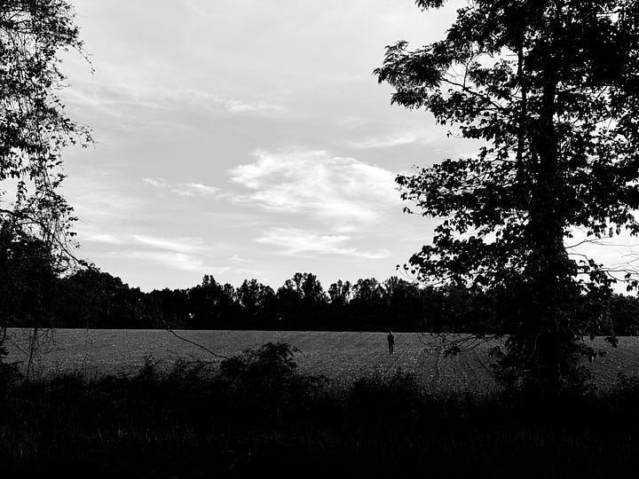 An old man with a cane in a dry field