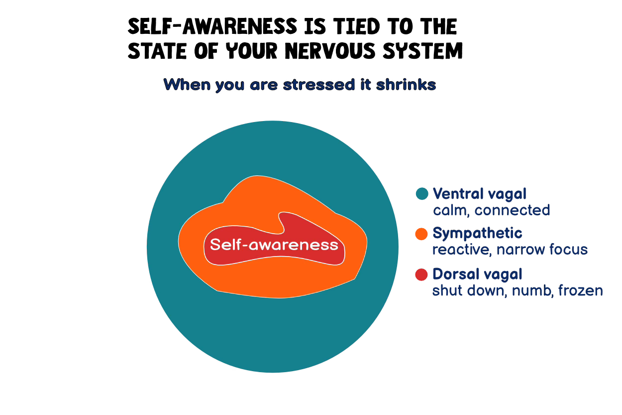 Visual showing self awareness shrinks in amber and red states