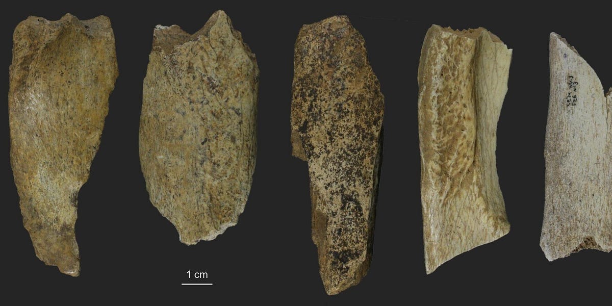 What the Bear Teeth Were Hiding: ZooMS Reframes Subsistence at Cova Eirós