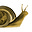 Simon Shack's avatar