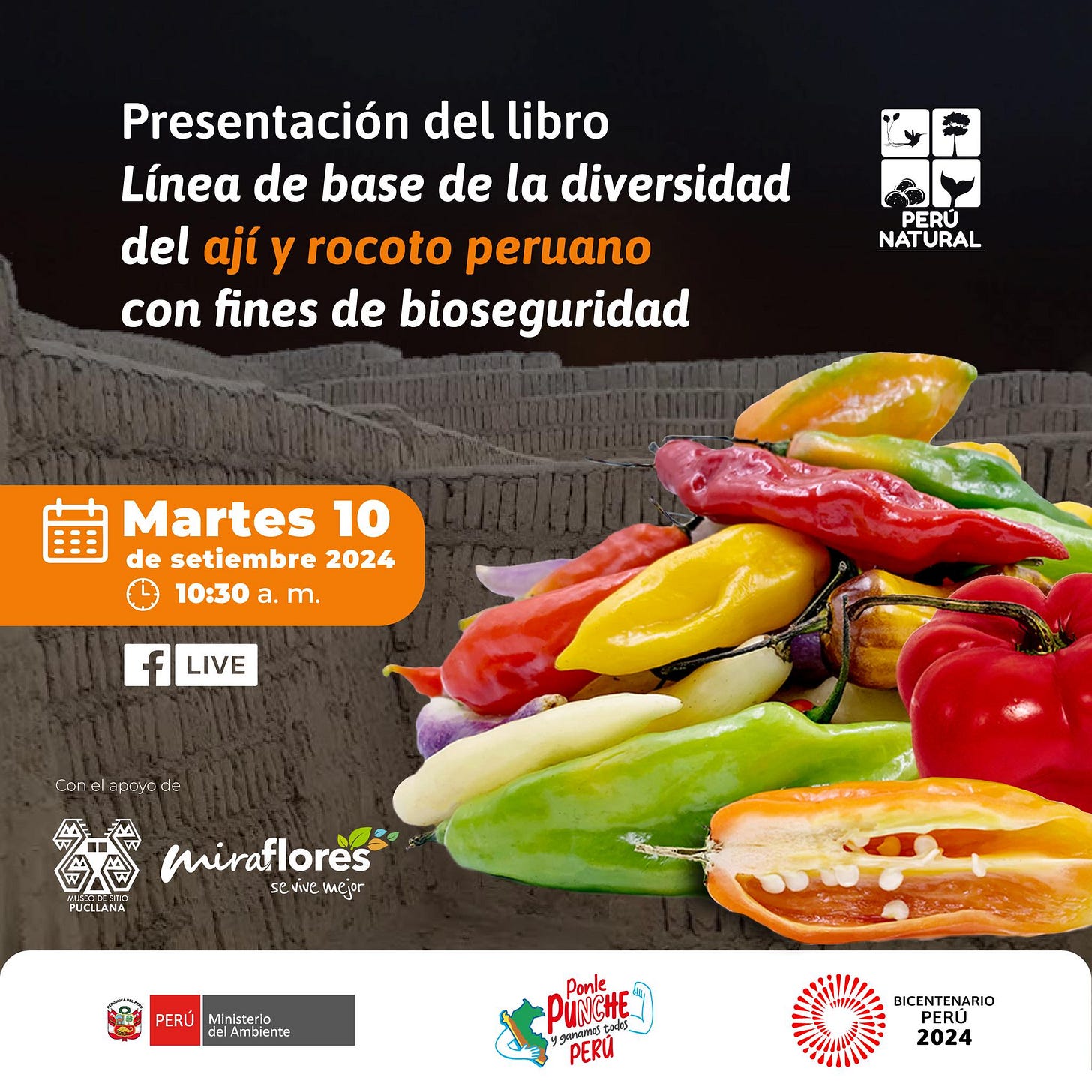 Puede ser una imagen de texto que dice "Presentación del libro Línea de base de α diversidad del ají y rocoto peruano con fines de bioseguridad PERÚ NATURAL Martes 10 de setiembre 2024 10:30 a. m. f LIVE cotelacovese acovo 03 PUCLLANA miraflores aflores เพิะ mejor PERÚ Ministerio Amaiente PUNGit PUNSHE DUNICHE Ponle PERU BICENTENARIO PERÜ 2024"