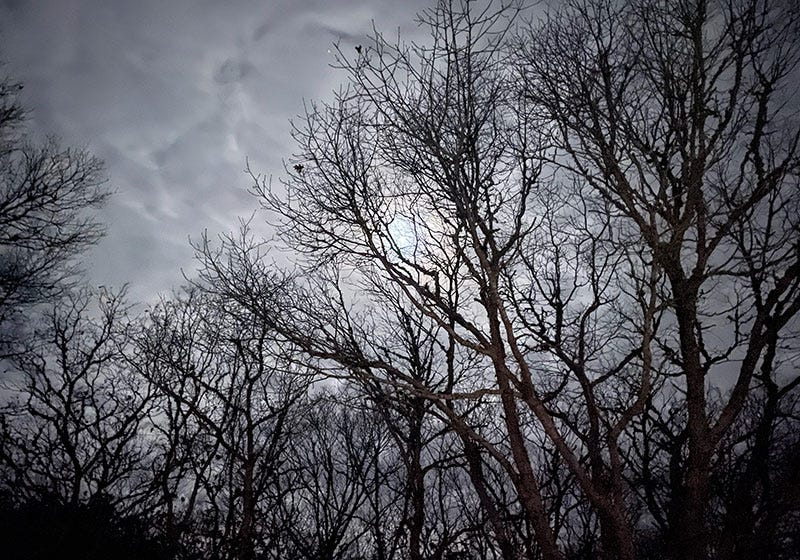 martha's vineyard grey day sixburnersue