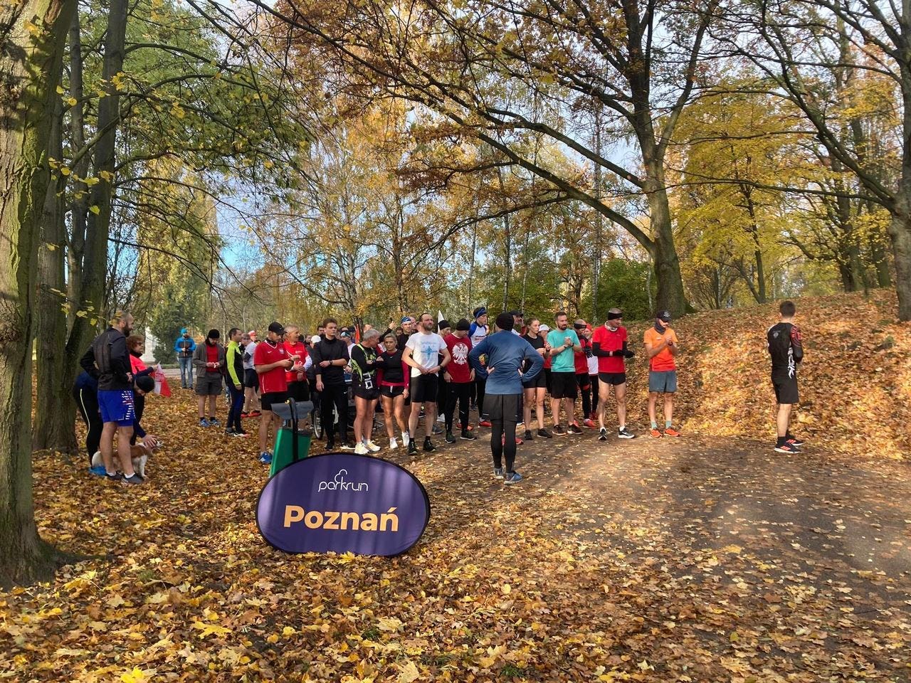 Runners waiting to go, with leaves covering much of the ground