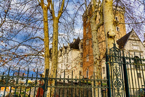 The Chateau de Pau