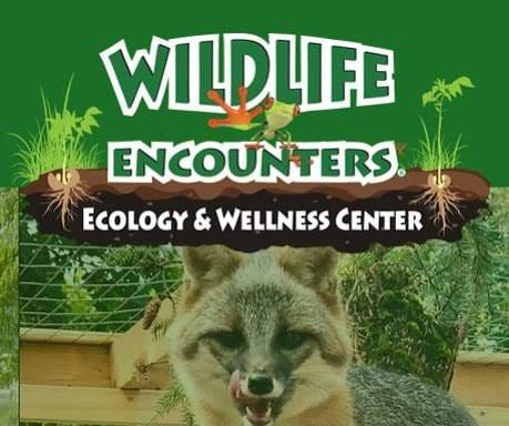 TONIGHT 6/24 -join us for Wildlife Encounters at the Public Safety Complex at 6:00 pm. A summer favorite event - don't miss it!