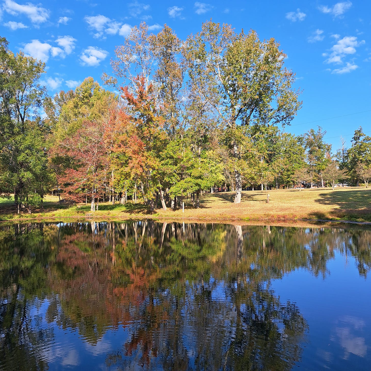 Small pond on a clear fall afternoon. Water in the foreground, beyond which are trees in green, yellow, red are reflected in the water. Above, a bright blue sky with small white clouds.