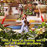Not In Kansas Anymore GIFs - Find & Share on GIPHY