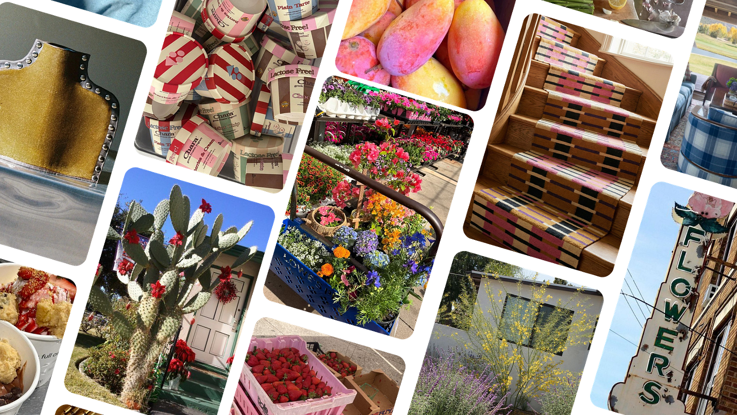 April Home Edit Spring home refresh ideas, april home maintenance checklist, pollen proofing tips, and quick room updates that cost nothing. Slow living spring 2026 home tips for women who want their space to feel right without buying more stuff. April Home Edit Spring home refresh ideas, april home maintenance checklist, pollen proofing tips, and quick room updates that cost nothing. Slow living spring 2026 home tips for women who want their space to feel right without buying more stuff.