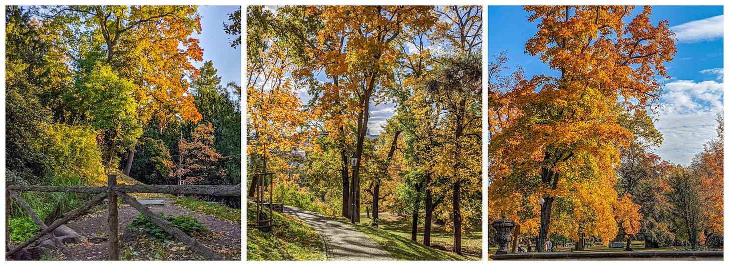 Three brightly colored trees. 