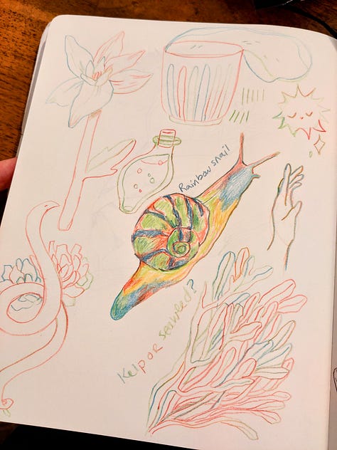 Sketchbook page feature flowers in blank ink. Two sketchbook pages done in rainbow pencil.
