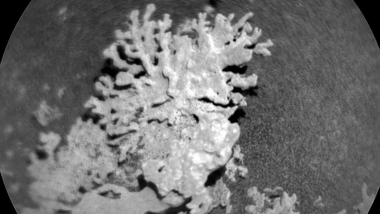 Image of a coral-shaped rock taken by Curiosity at the Gale Crater on Mars.