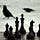 Of Crows and Pawns